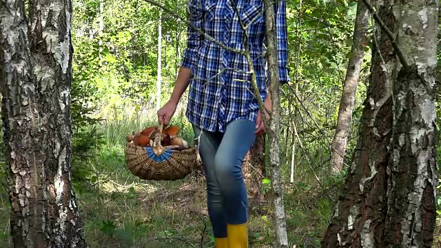 一对男女提着装满蘑菇的篮子在森林里散步视频素材