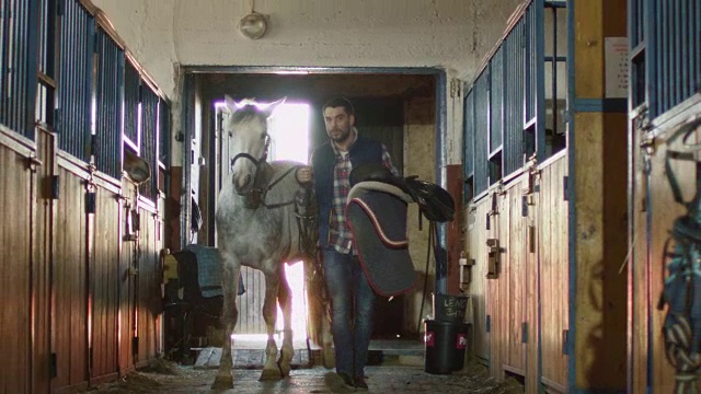 人牵着马鞍在马厩里牵着一匹白马。视频下载