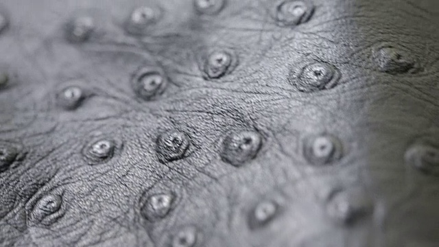 微距拍摄的深灰色穿孔人造皮革背景纹理视频下载