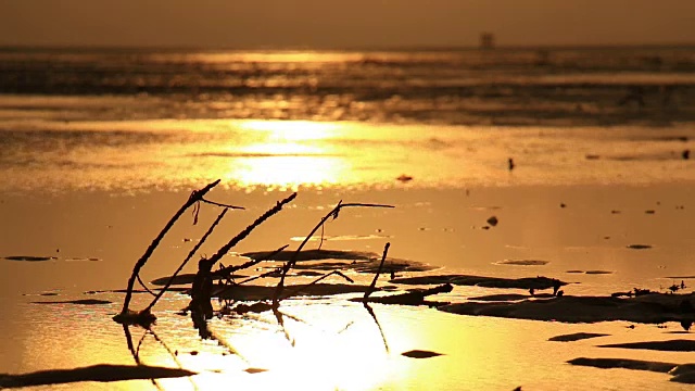 海滩上的热带日出。视频素材