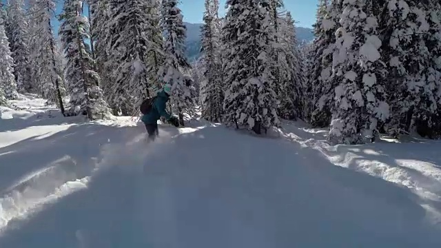 女自由滑板滑雪者在雪道外的新雪中做粉状转弯视频素材