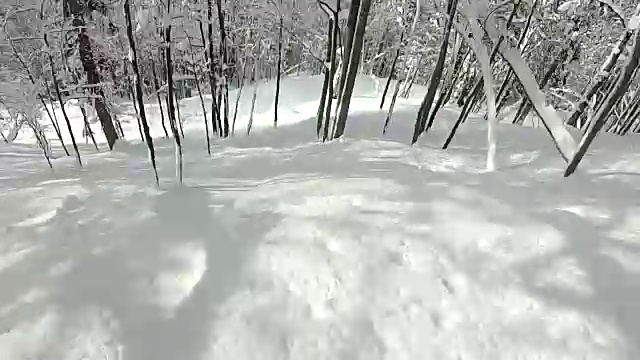 在阳光明媚的山林里，滑雪经过积雪的树干视频素材