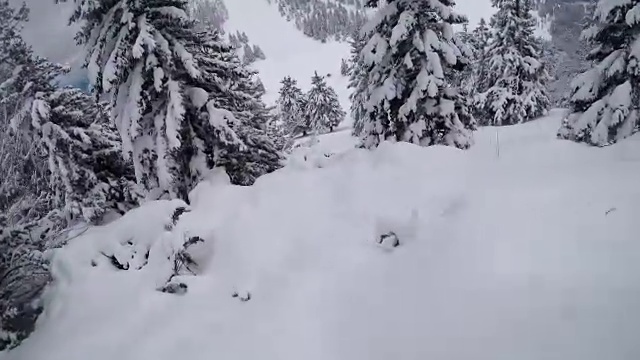 FPV:在雪山森林里骑着粉末雪板免费滑雪视频素材