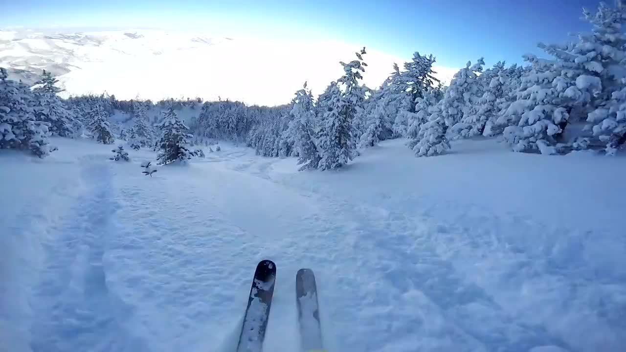 FPV:在美丽的高山滑雪胜地的新雪森林中滑雪视频素材