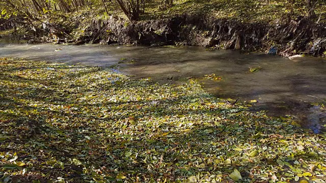 河在秋天的森林。视频素材