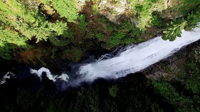 近距离的水瀑布白色雾森林的景象视频素材