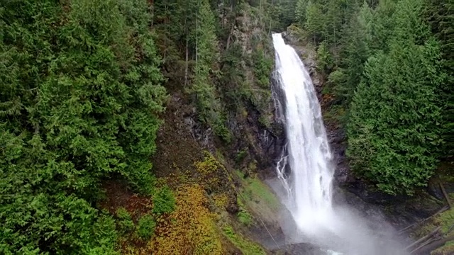 绿色苔藓雨林中的大瀑布视频素材
