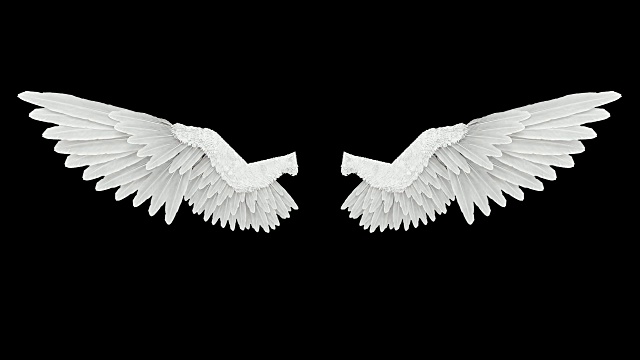 白色天使翅膀和阿尔法通道视频下载