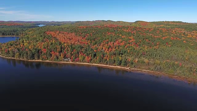 加拿大安大略省秋季阿尔冈昆省公园的白天视频素材