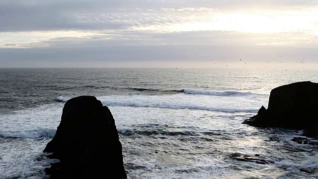 海鸥在悬崖海岸和海浪上飞翔视频素材