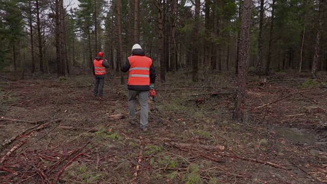 伐木工人用链锯在森林里打电话视频素材