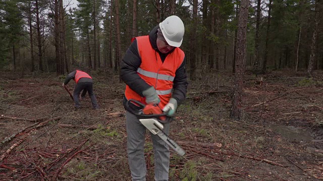 在森林中工作的伐木工人视频素材