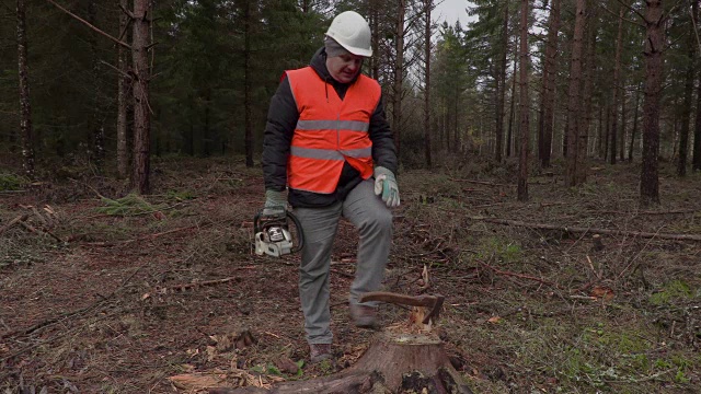 带着链锯的伐木工遇到了同事视频素材