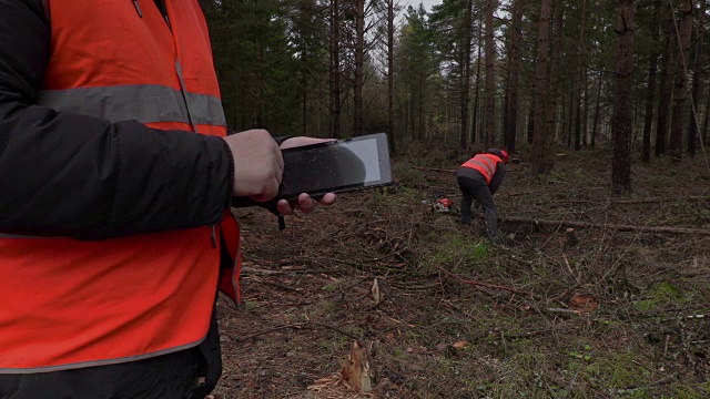 伐木工人在森林中使用平板电脑视频素材