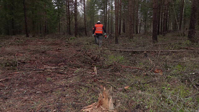 伐木工人拿着链锯穿过森林视频素材