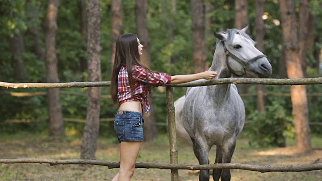 女人和马。休闲的性感风格视频素材