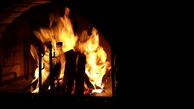 明亮燃烧的木头，篝火微距视频视频下载