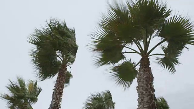 飓风-不同镜头的序列;手持相机视频下载