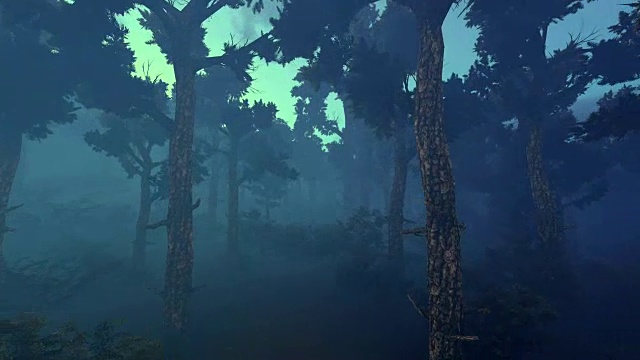 黑暗的森林。三维动画视频下载