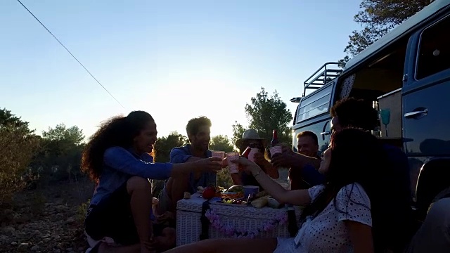朋友们在野营车旁的野餐上祝酒视频素材
