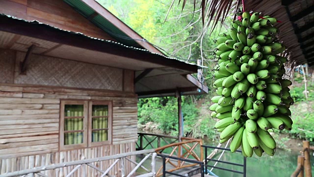 一串绿香蕉和河边的平房视频下载