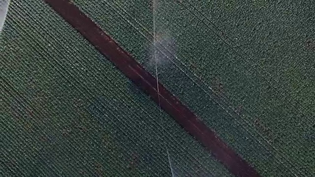 灌溉系统浇灌大白菜田视频素材