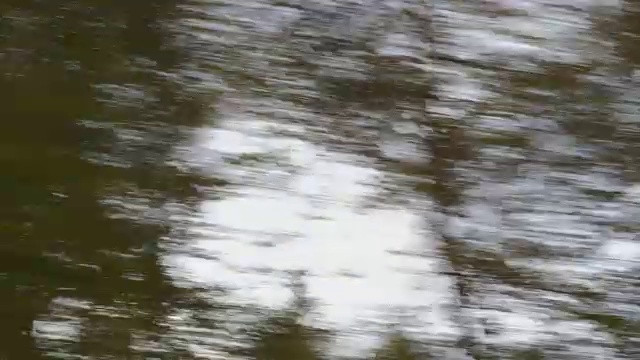 秋天的驾驶-驾驶在一个多云的秋天的乡村道路上视频素材
