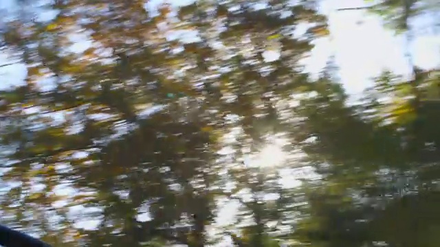 秋天的驾驶-驾驶在一个美丽的秋天的乡村道路上视频素材