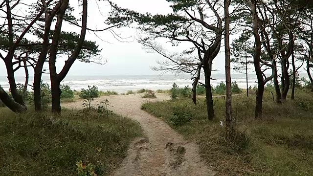 德国普罗拉(鲁根岛)海滩上的景观。秋天的时间。暴风雨天气。视频素材