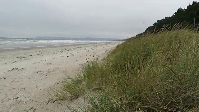 德国普罗拉(鲁根岛)海滩上的景观。秋天的时间。暴风雨天气。视频素材