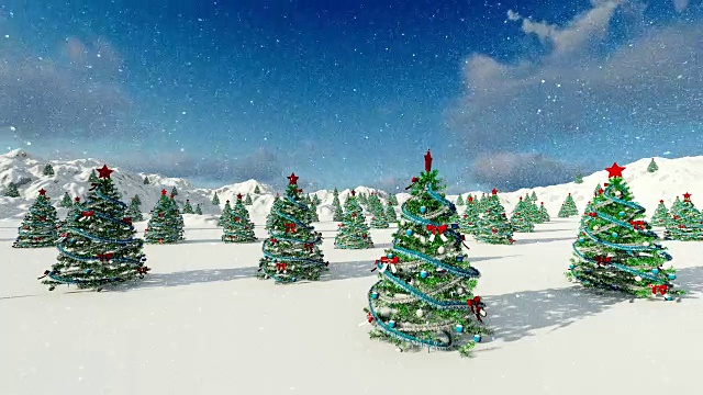 阳光明媚的日子，圣诞树上的雪视频素材