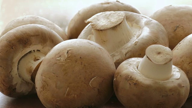 生蘑菇视频素材