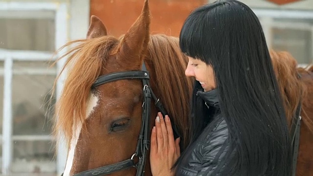 漂亮的年轻女人爱抚着马。视频下载