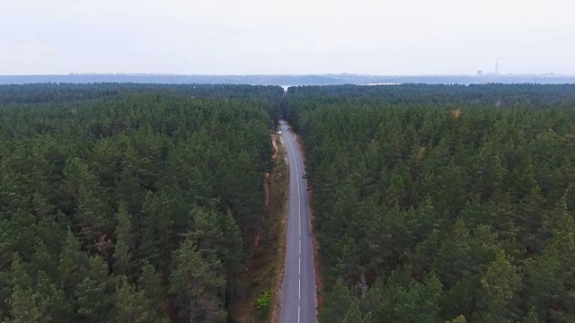 森林中无尽的道路。航空摄影视频素材