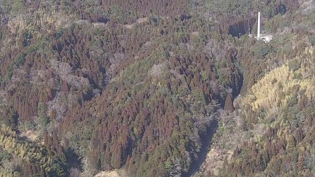 空中，日本雪松林，千叶，日本视频素材