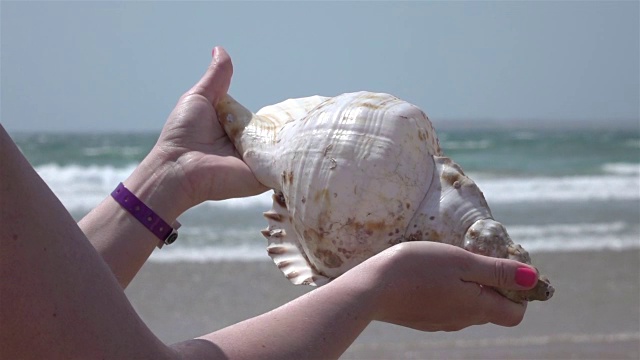 两段用海洋慢动作拍摄的手拿贝壳的视频视频下载