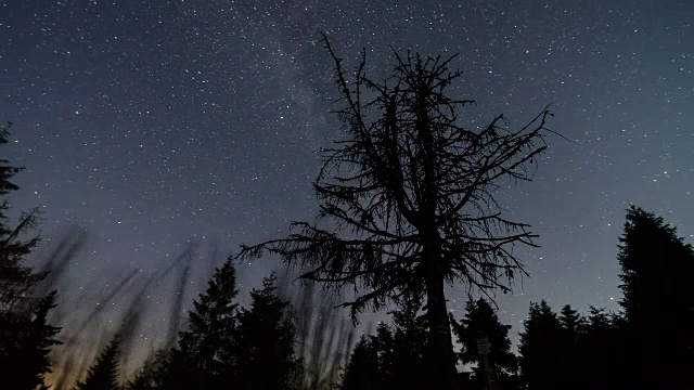 星星天空与银河系移动在死树时间流逝。天文学星夜视频素材