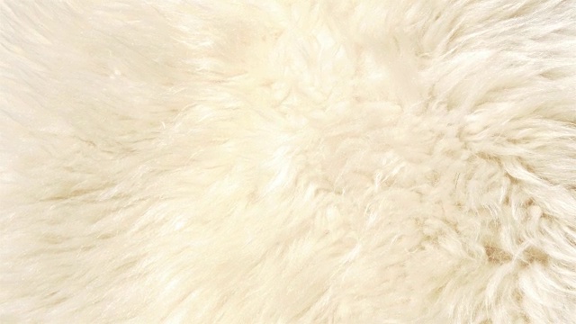 白色羊皮GH4 4K UHD白色的小羊皮或毛皮视频下载