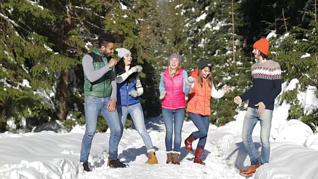 雪林青年朋友们在户外玩冬天的松林视频下载