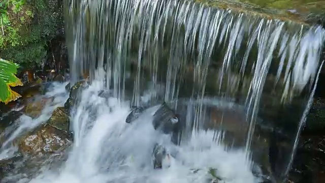 里约热内卢植物园瀑布飞溅的特写视频下载