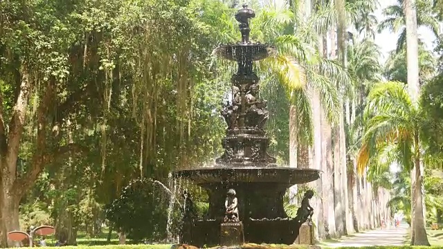 在植物园的喷泉在里约热内卢de Janeiro视频下载