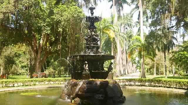 在植物园的喷泉在里约热内卢de Janeiro视频下载