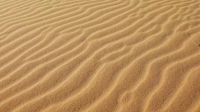 沙子和风力视频素材
