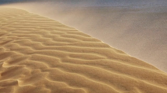 在沙漠中，沙子被吹过沙丘视频素材