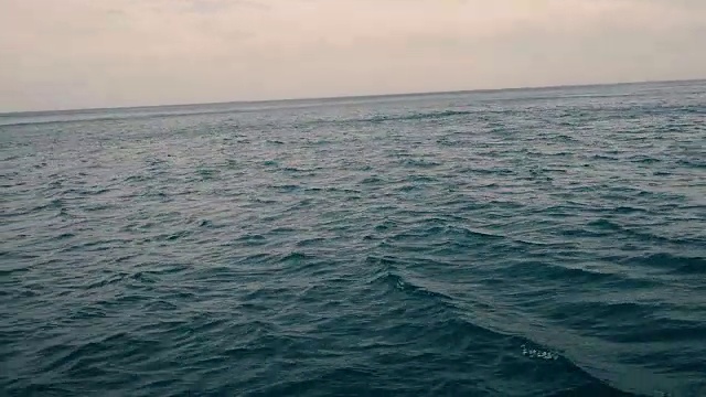 巴西里约热内卢的海景视频下载