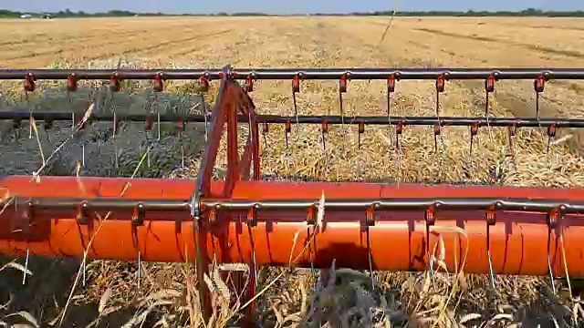 小麦收割机在工作视频素材