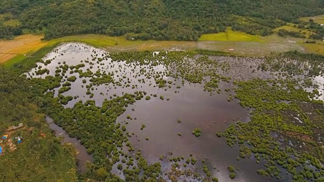 稻田鸟瞰图。菲律宾视频素材