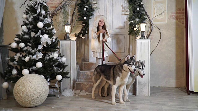 带着哈士奇狗的女孩站在圣诞树旁的门槛上视频下载