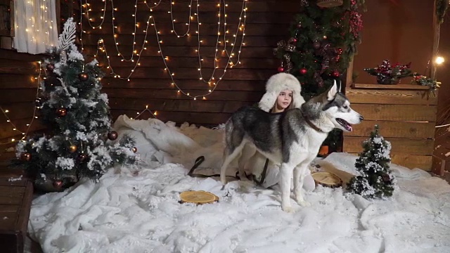 一个吓坏了的小女孩带着一只大哈士奇狗在圣诞树旁的雪地里视频下载