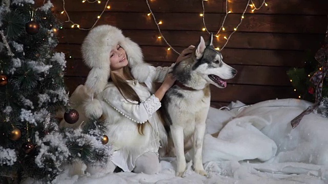 小女孩在圣诞树旁和小狗哈士奇玩耍视频下载